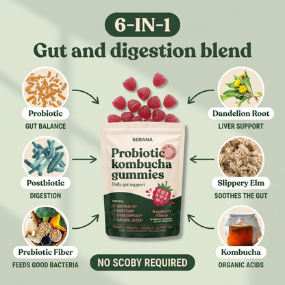 Kombucha Gummies – Gut, Digestion & Detox Support