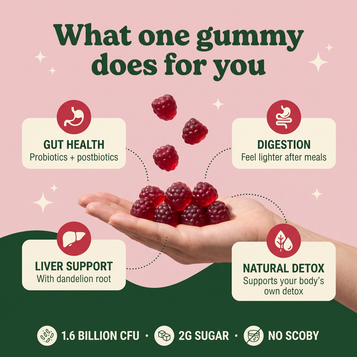 Kombucha Gummies – Gut, Digestion & Detox Support