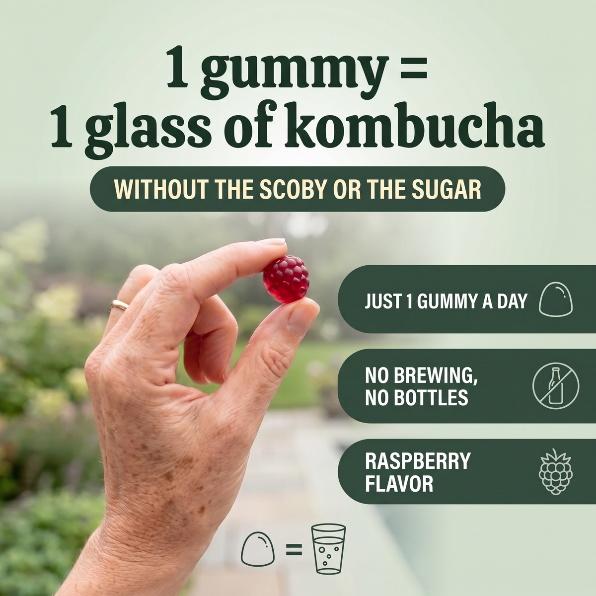 Kombucha Gummies – Gut, Digestion & Detox Support